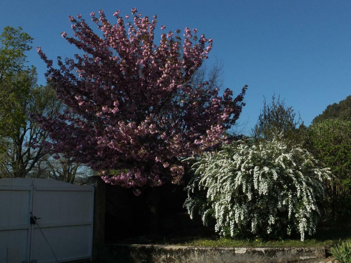 Bastide Du Bonheur Saint Donat Panzió Gréoux-les-Bains Kültér fotó